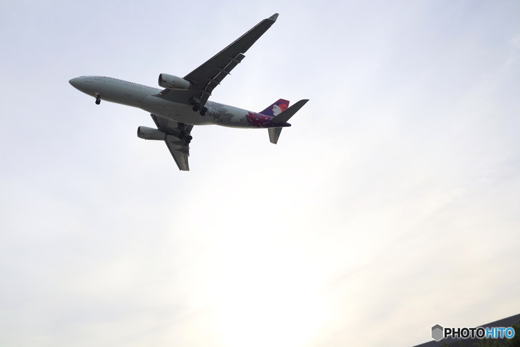 羽田空港