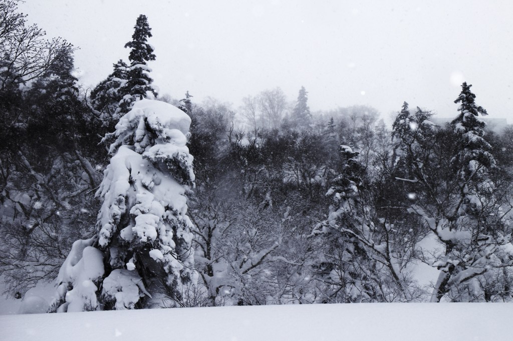 視線の先の雪景色