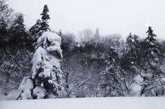 視線の先の雪景色
