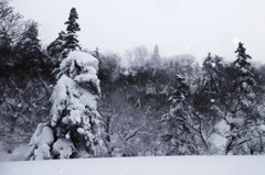 視線の先の雪景色