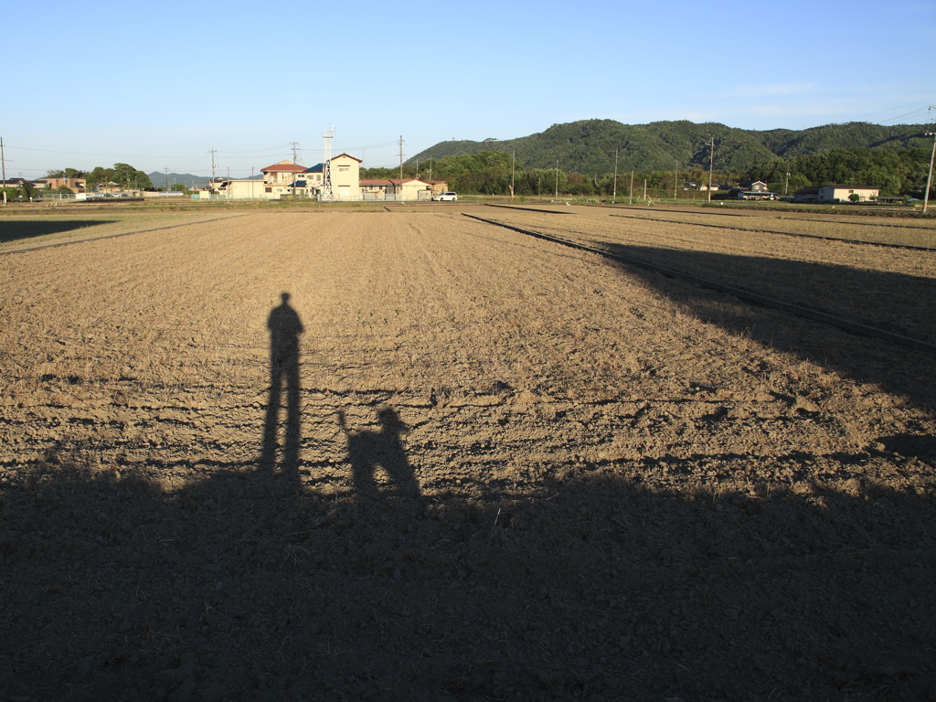 足長おじさん