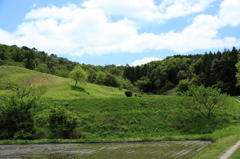 田植えが済んで②