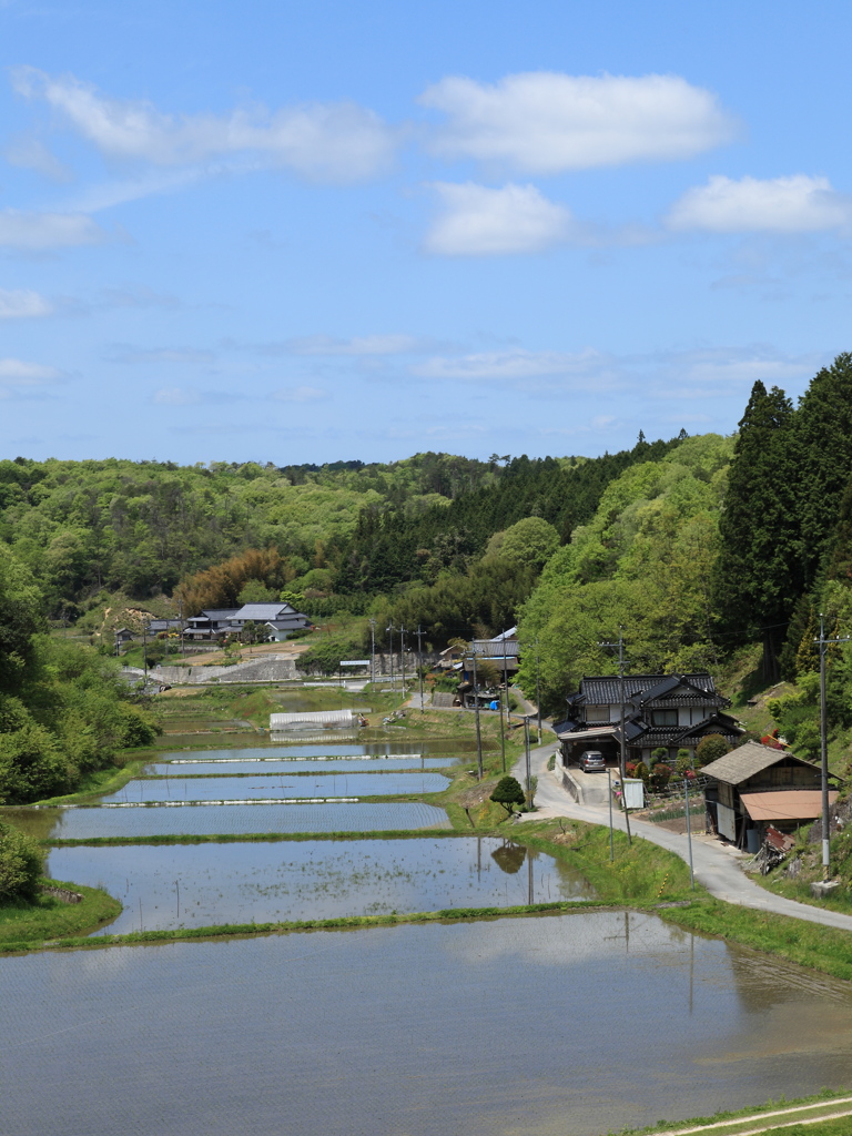 田植えが済んで