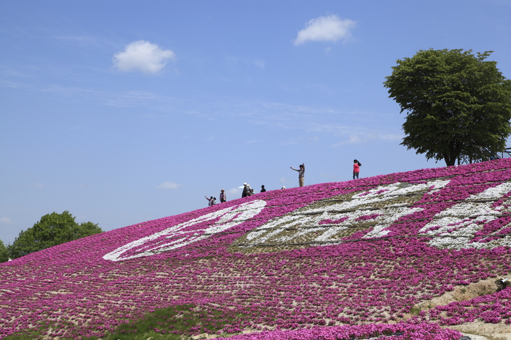 空気が うまいぞ By Reomama Id 写真共有サイト Photohito