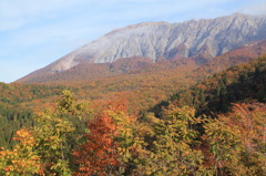 紅葉に浮かぶ大山