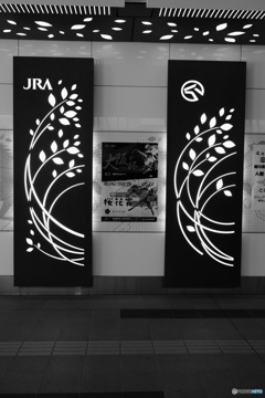 春の桜花賞・・^^