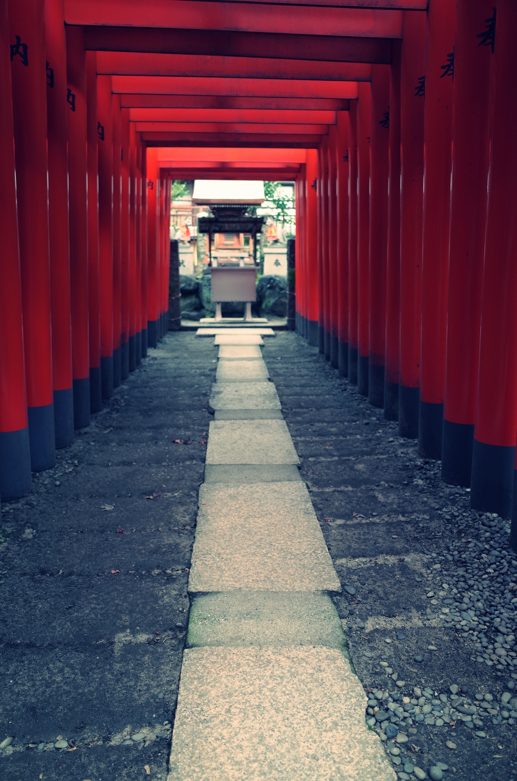 一直線に並ぶ鳥居