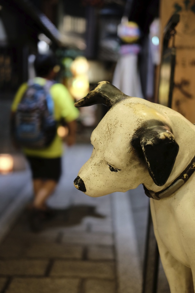 見慣れたビクター犬