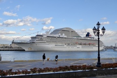 中突堤旅客ターミナルの飛鳥Ⅱ