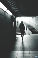 into the light