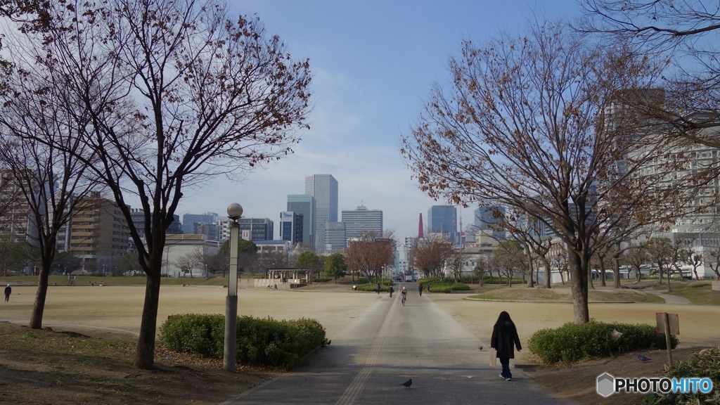 in the city seen from the park