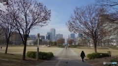 in the city seen from the park