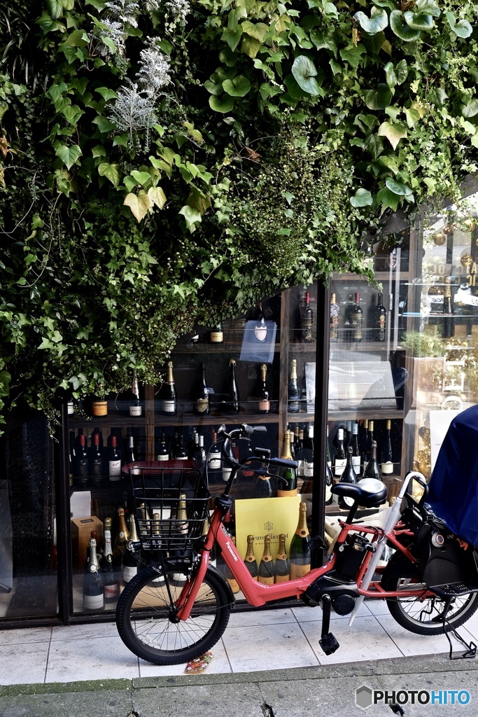 ハロウィンがペッシャンコ・・(>_<)