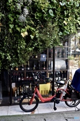 ハロウィンがペッシャンコ・・(>_<)