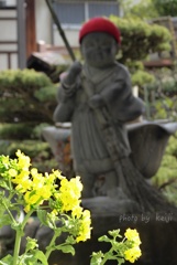 季節は、冬から春へ