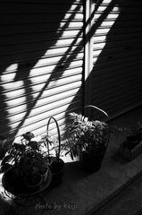 光と影が差し込む路地