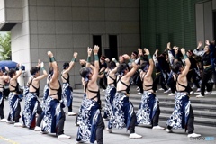 【よさこい】シリーズ 6