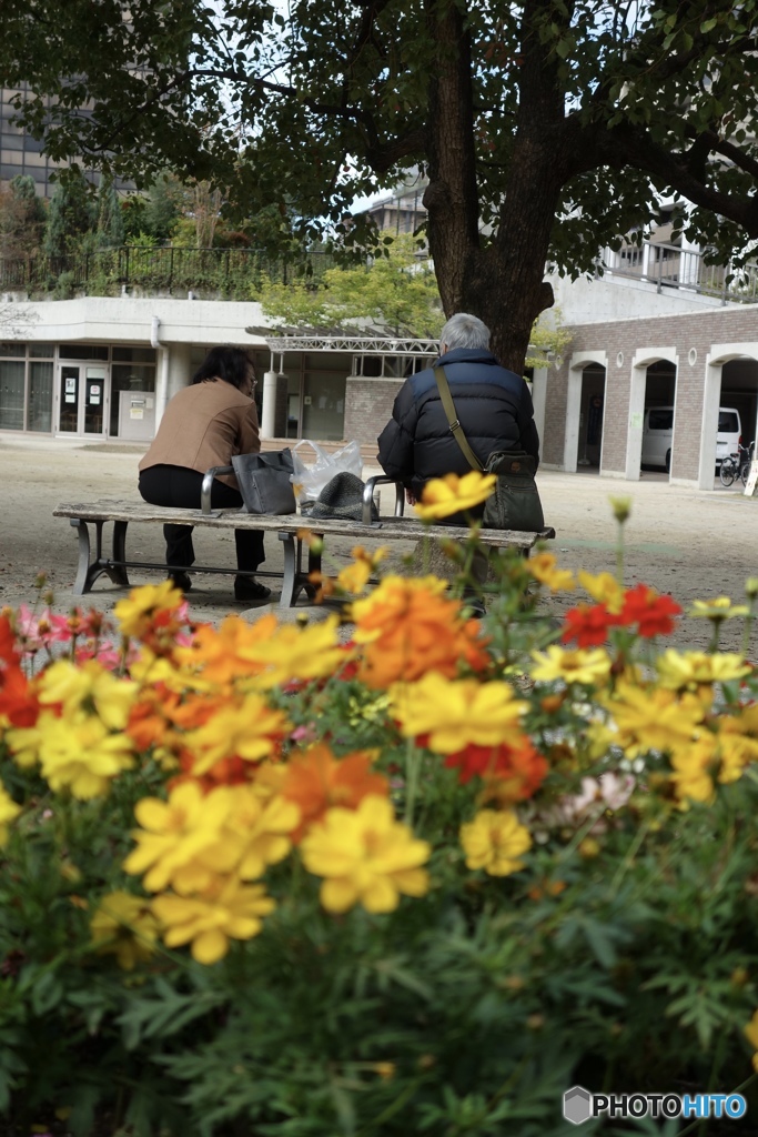 老カップルの落ち着ける場所