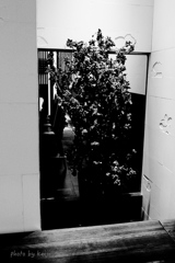 光の空間 光の空間