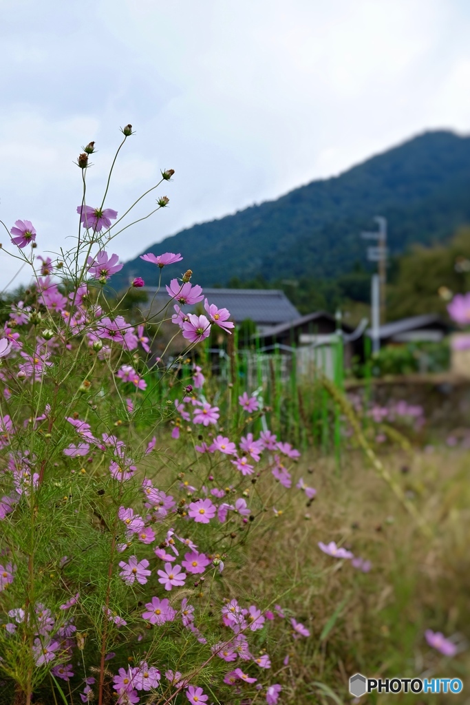 里山の原風景