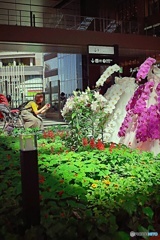 美しい花に魅せられて