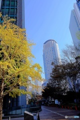 ビルの谷間の紅葉