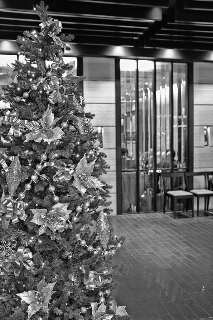 少し早い・・　クリスマスMode