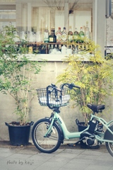 Bottle display