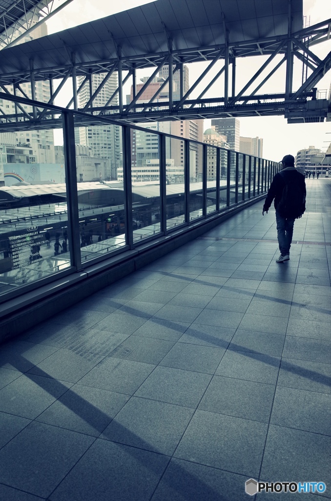 いつもの場所から