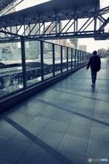 いつもの場所から