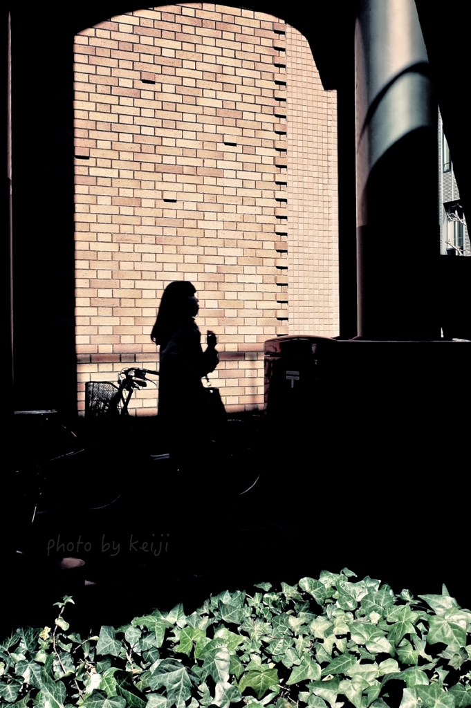 Light and shadow of the city