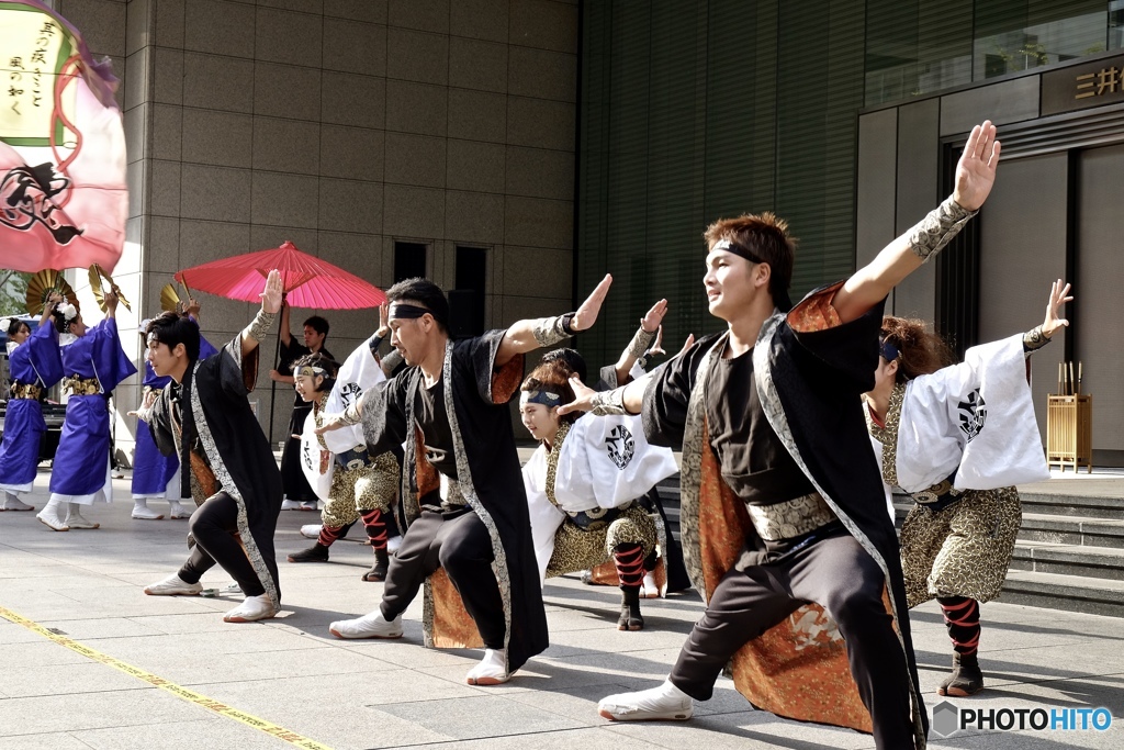 【よさこい祭り】シリーズ　１０