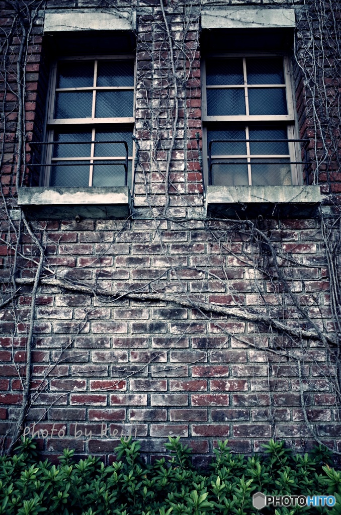 蔦絡むレンガ造り