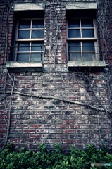 蔦絡むレンガ造り