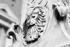 シンボルマーク。