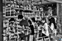 gentle face gentle face