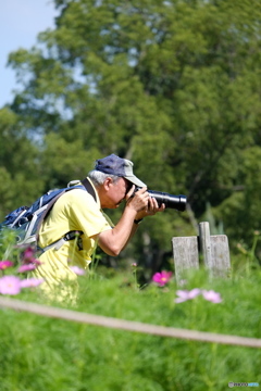 花と小父さん【歌のタイトル】