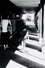 お母さんは、日陰をキープ・・^ ^♪ お母さんは、日陰をキープ・・^ ^♪