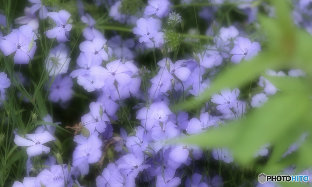 ファンタジック風の水彩画・・