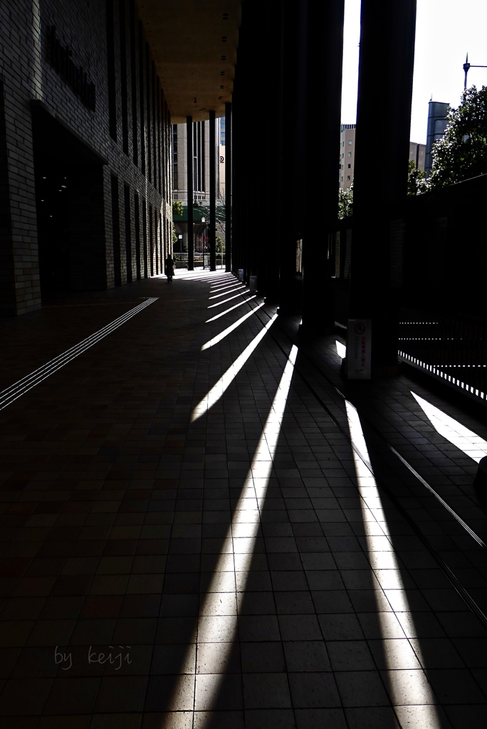 柱が織りなす模様