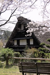 絶景のポジション