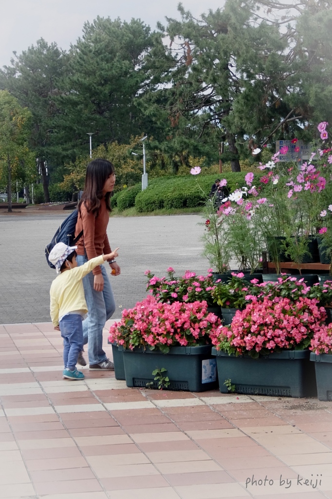 母子の対話