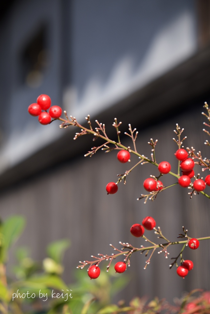 残り、もう少し・・(;O;)