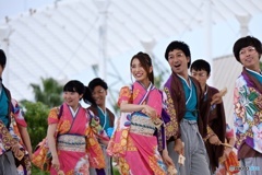 【よさこい】シリーズ 5