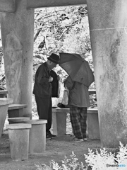 Matching  umbrella