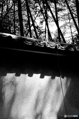 monochrome