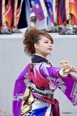 【よさこい】シリーズ 8