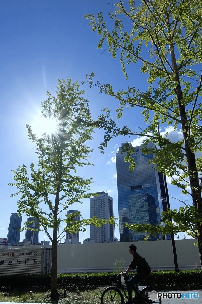 Hot day of Umeda