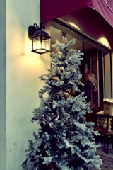 クリスマス後のモミの木