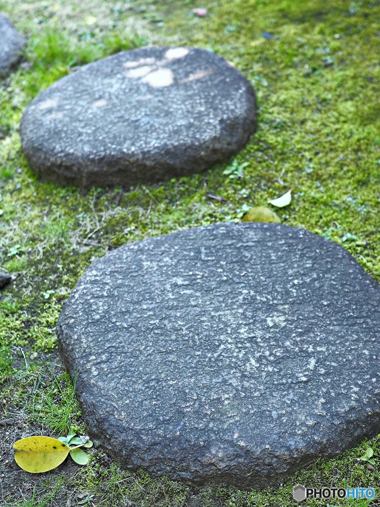 Stepping  stone